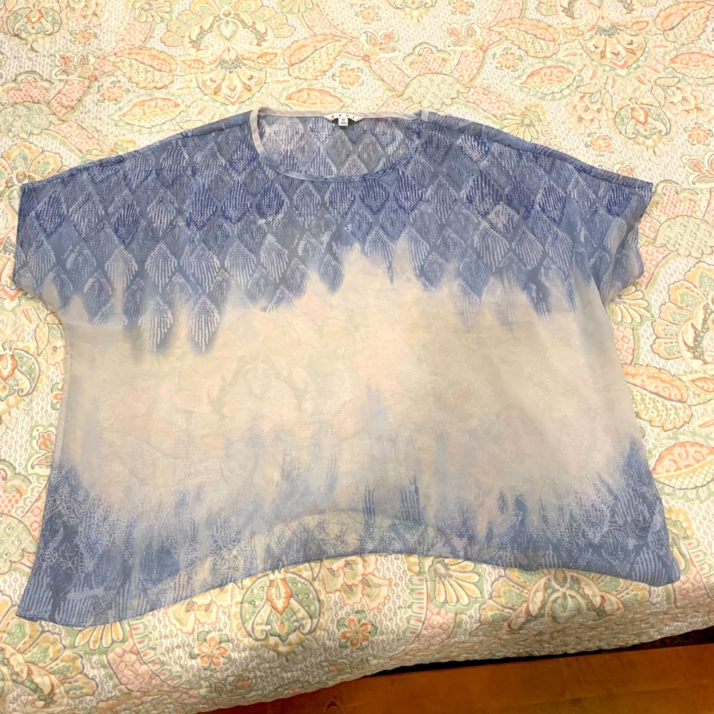 CAbi sheer top